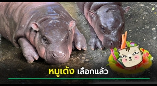 ประธานาธิบดีสหรัฐฯ