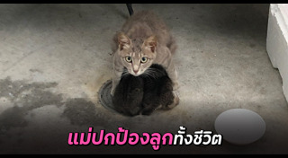 ภาพซึ้งๆ