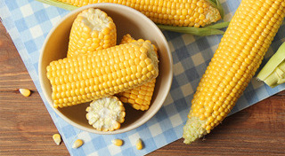 ข้าวโพด