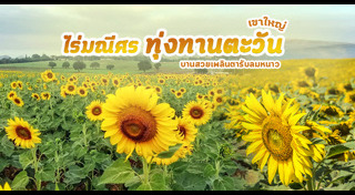 เส้นทางดอกไม้