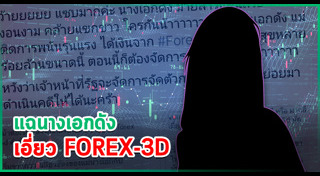 Forex 3d จดทะเบียน