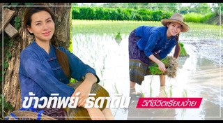 ข้าวทิพย์ ธิดาดิน