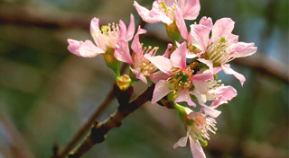 ที่เที่ยวอุทยานแห่งชาติ