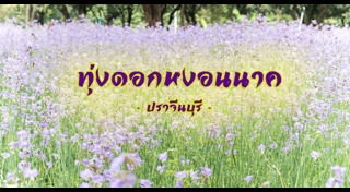 เที่ยวปราจีนบุรี