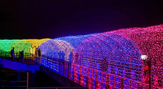 ที่เที่ยวปีใหม่