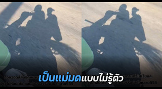 ไม้กวาด