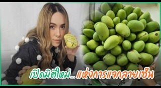 สิงโต นำโชค