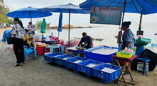 ร้านอาหารพัทยา