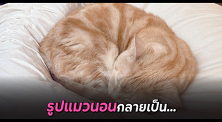 ภาพการ์ตูน