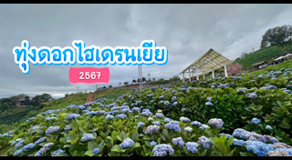 ที่เที่ยวหน้าหนาว