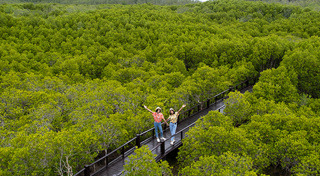 เที่ยววันแม่