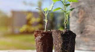 วิสาขบูชา