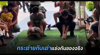 กระต่าย