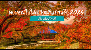 เที่ยวเกาหลีใต้