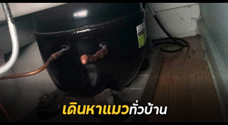ภาพฮา ๆ
