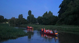 หิ่งห้อย