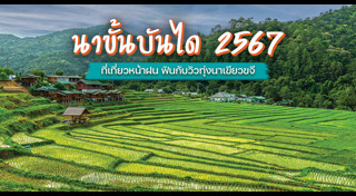 นาขั้นบันได