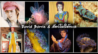 นักร้องดังในอดีต