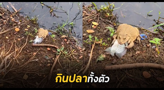 สัตว์น้ำ