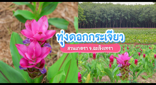 ที่เที่ยวหน้าฝน