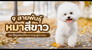 พันธุ์สุนัข