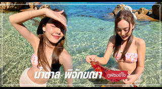 น้ำตาล พิจักขณา