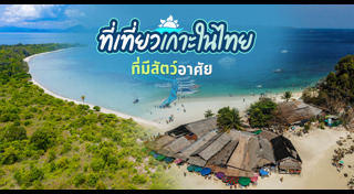 เที่ยวเกาะ