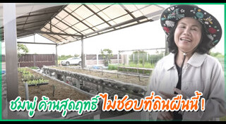 ยายหนิง แม่ชมพู่