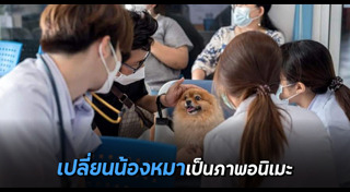 ปอมเมอเรเนียน