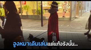 ชิบะ อินุ