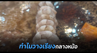 ชาบู