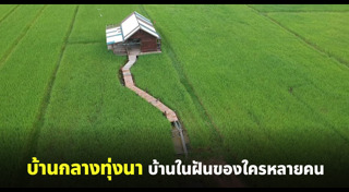 บ้านไม้ชั้นเดียว