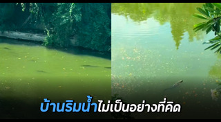 ตัวเงินตัวทอง