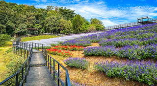 ที่เที่ยววันหยุดยาว