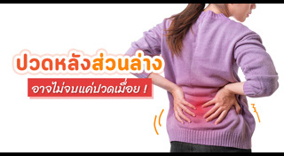 ปวดหลัง