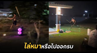 สุนัขจรจัด