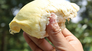 ที่เที่ยวตราด