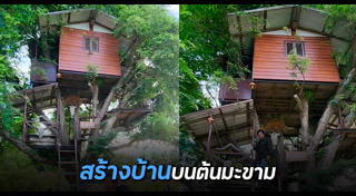 สร้างบ้านแบบประหยัด