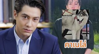 สุนัขหาย