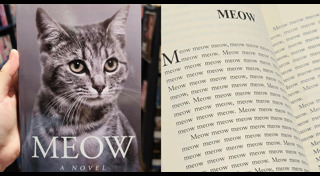 หนังสือ