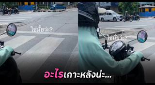 แมลงสาบ