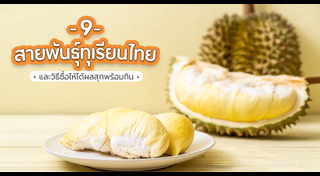 ผลไม้เมืองร้อน