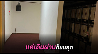 เรื่องแปลกญี่ปุ่น