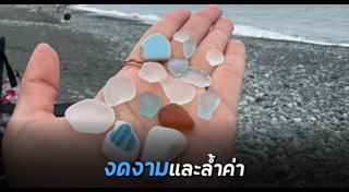 ทะเลญี่ปุ่น