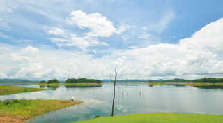 เขาสันหนอกวัว