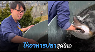 อาหารปลา