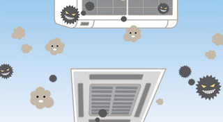 เชื้อราในบ้าน