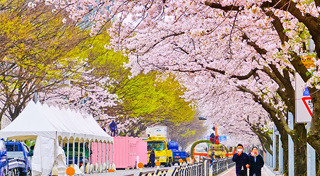 เที่ยวเกาหลีใต้