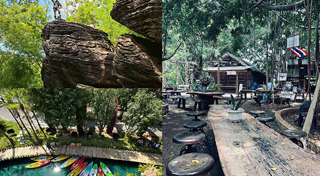 ท่องเที่ยวไทย