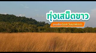 ที่เที่ยวพังงา